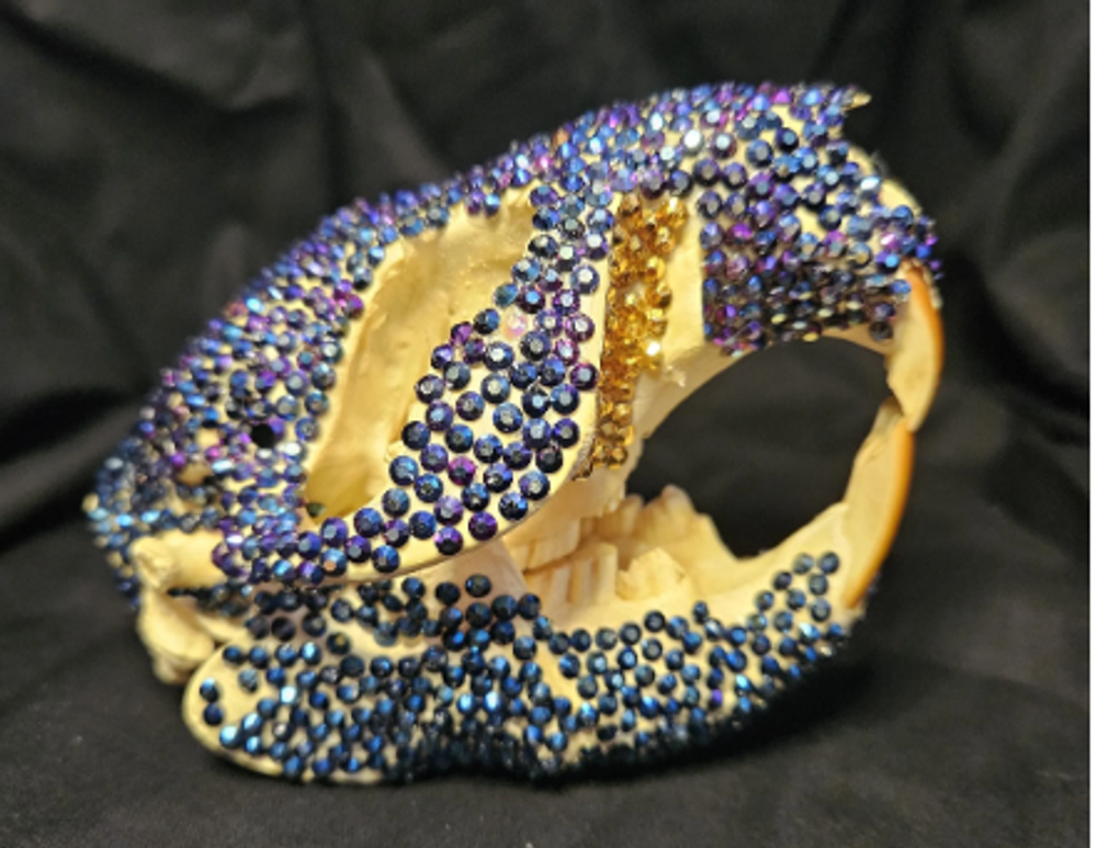 Bedazzled Beaver Skull